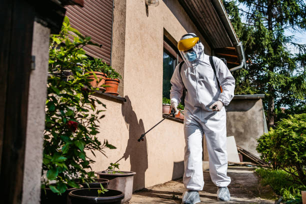 Best Pest Removal Services  in Sulphur Springs, TX