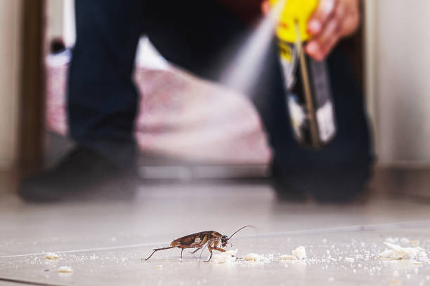 Best Commercial Pest Control Services  in Sulphur Springs, TX