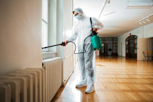 Best Affordable Pest Control Services  in Sulphur Springs, TX